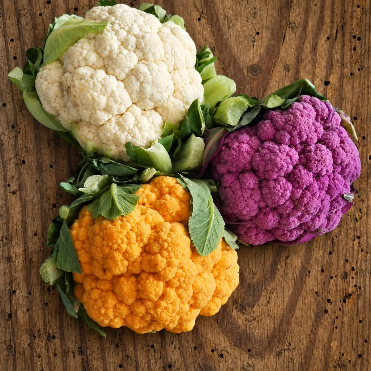 Coliflor