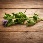 Alfalfa Cuf 101