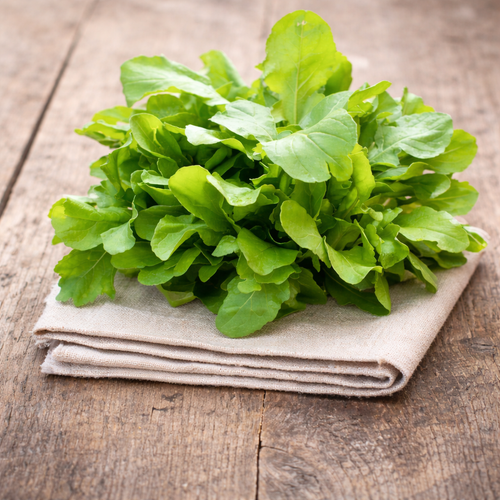 Arúgula Regular