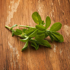 Alfalfa Cuf 101