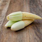 Maíz Bco Baby Corn Glacial F1