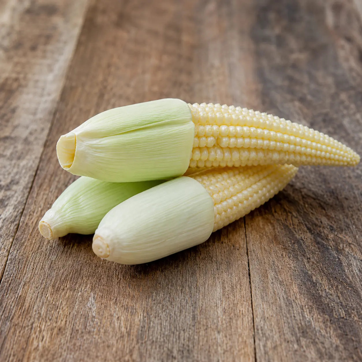 Maíz Bco Baby Corn Glacial F1