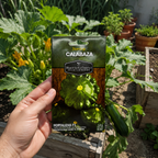 Calabaza Starship F1