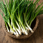 Cebolla Cambray Tokio Long