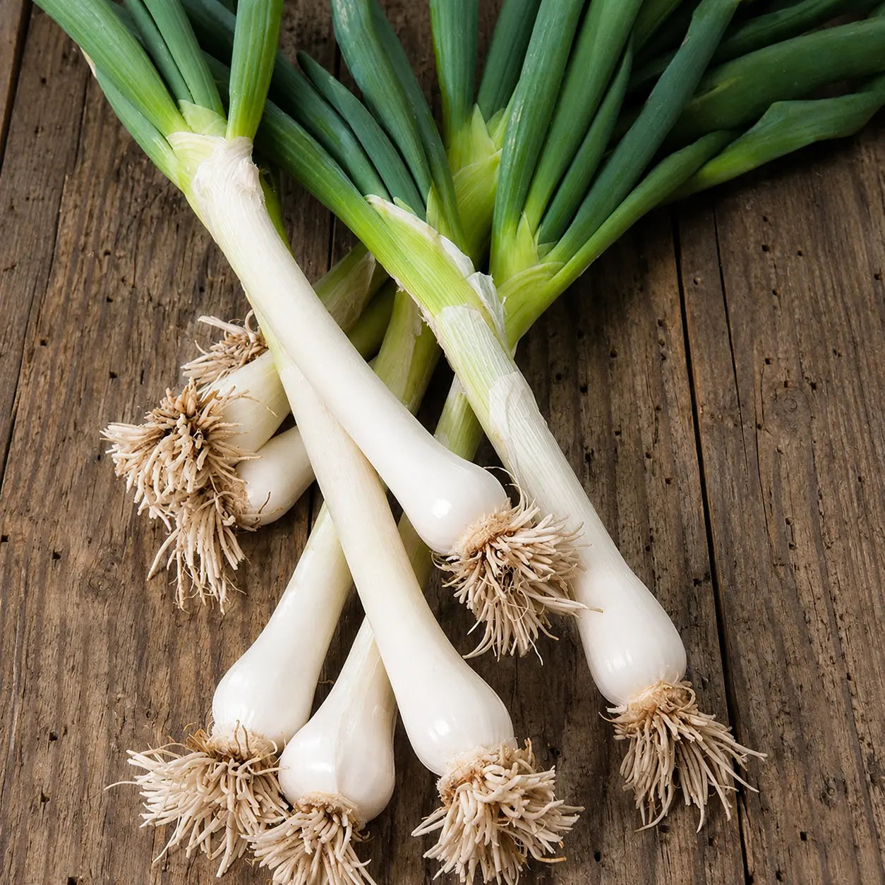 Cebolla Cambray Tokio Long