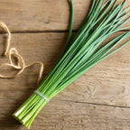 Chives Nelly Fine F1