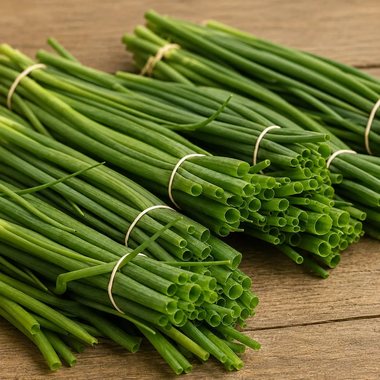 Chives Nelly Fine F1