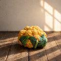 Coliflor Clementina F1