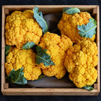 Coliflor Clementina F1