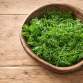 Cilantro Confeti