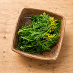 Cilantro Confeti