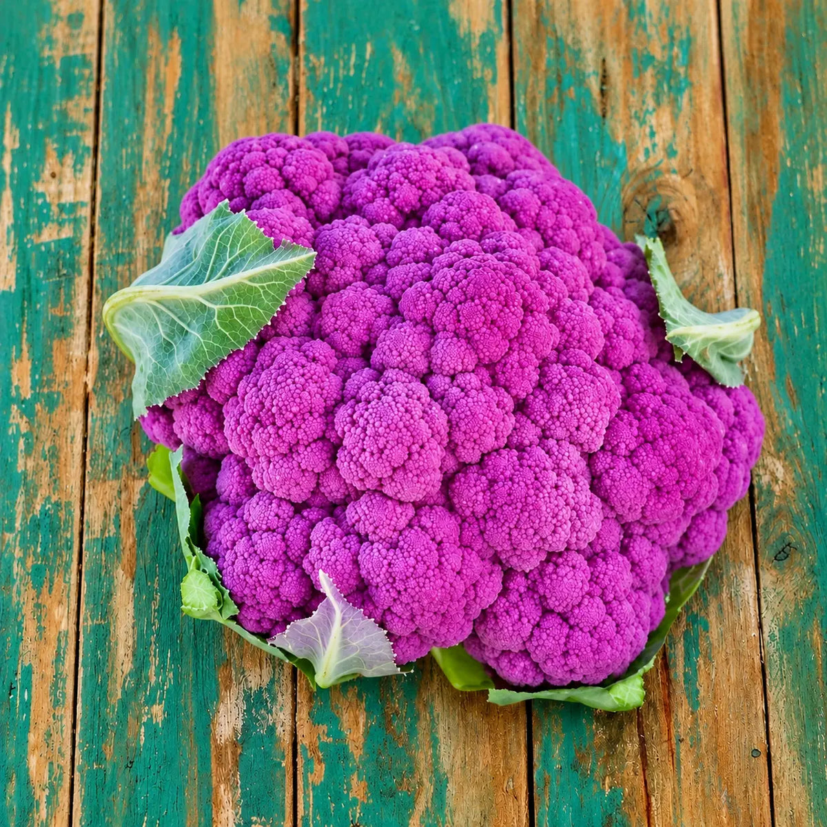 Coliflor Graffiti F1