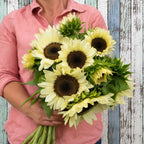 Girasol ProCut White Nite F1