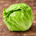 Lechuga Grandes Lagos