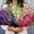 Larkspur QIS™ Formula Mix