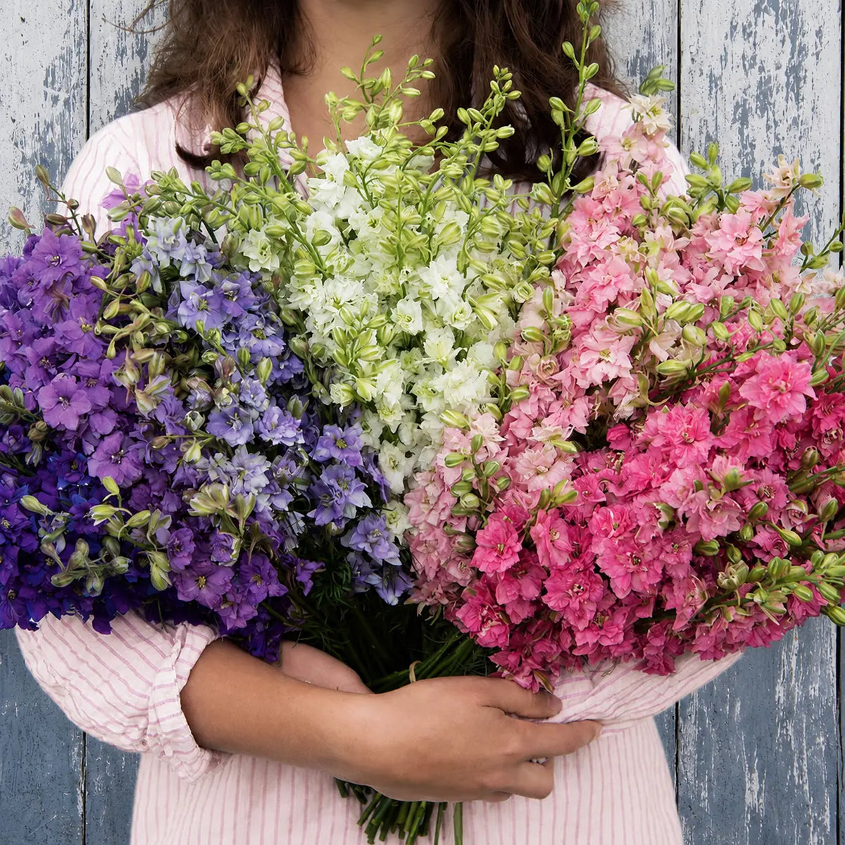 Larkspur QIS™ Formula Mix