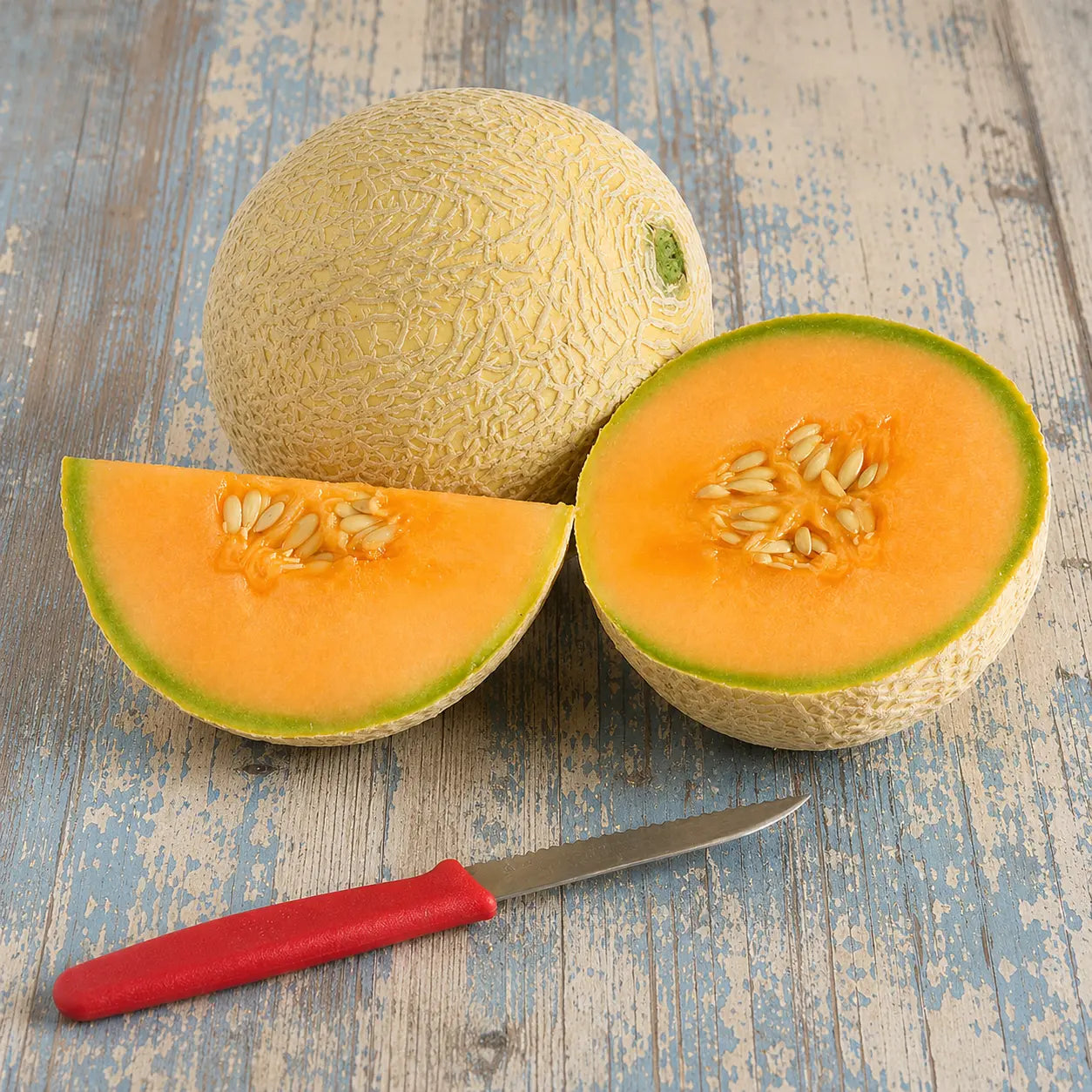 Melón Top Mark