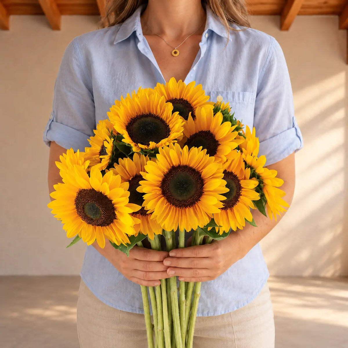 Girasol Verano Provensa F1