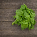 Albahaca Basil Nufar