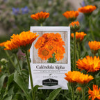 Caléndula Alfa