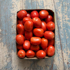 Tomate Bule