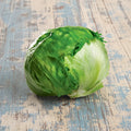 Lechuga Pellet Sativa F1