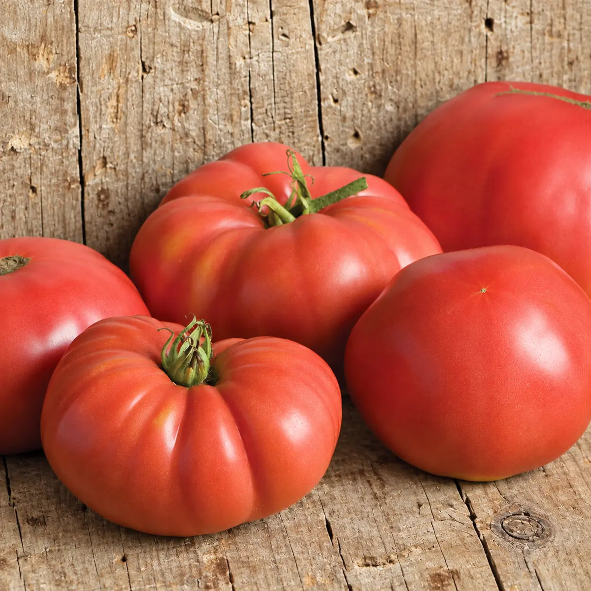 Tomate German Johnson