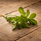 Alfalfa Cuf 101