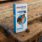 Bravecto - 20>40 Kg