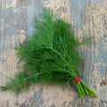 Eneldo Dill Bouquet