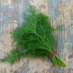 Eneldo Dill Bouquet