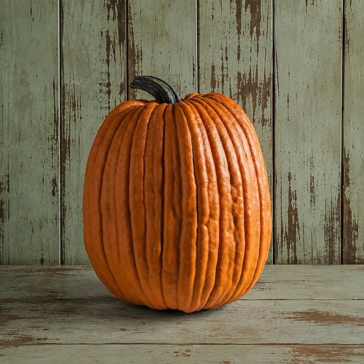 Calabaza Igor Jack o Lantern