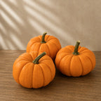 Calabaza Jill-Be-Little