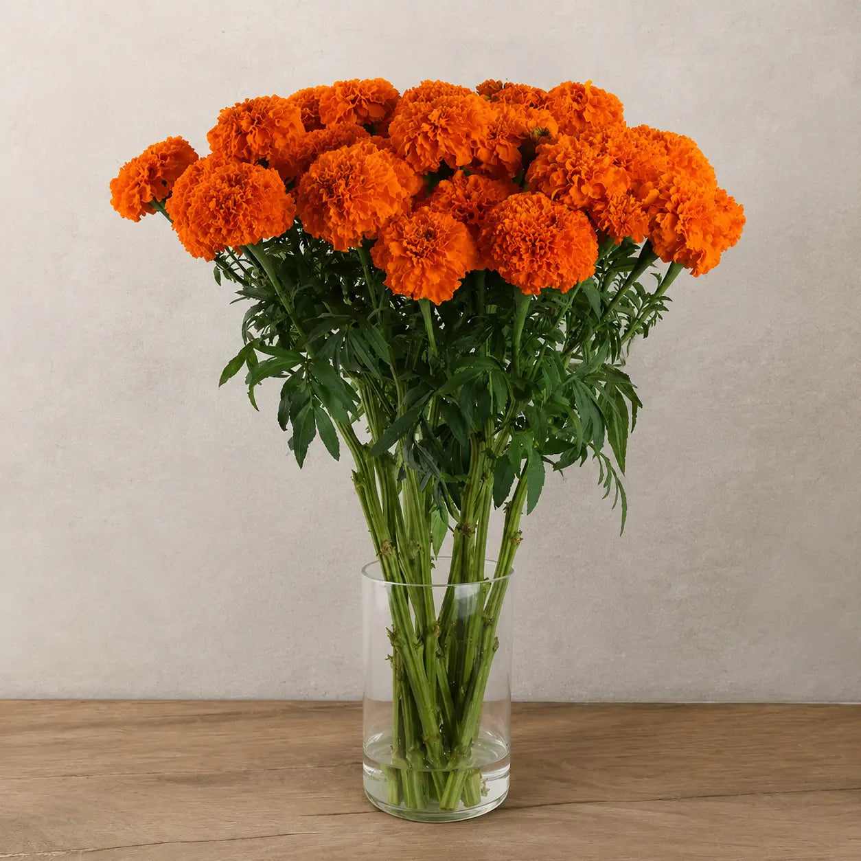 Marigold Xochilt