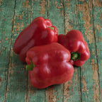 Morron Rojo Yankee Bell