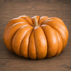 Calabaza Musque de Provence