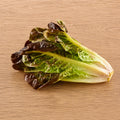 Lechuga Red Romaine