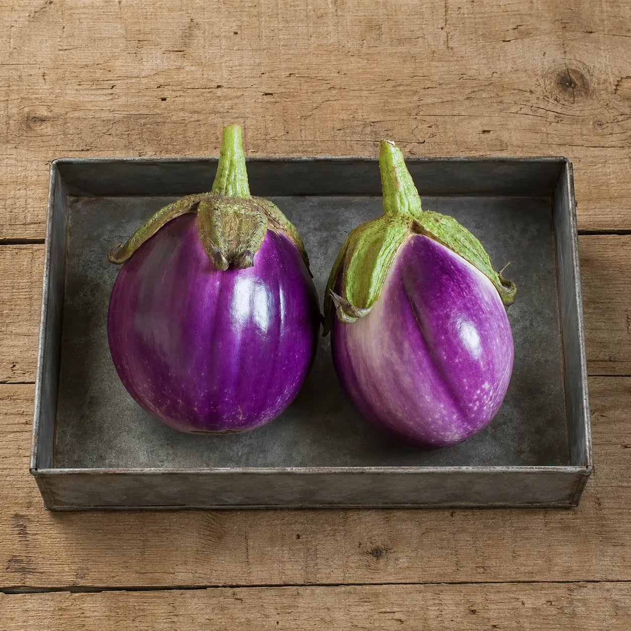 Berenjena Rosa Bianca