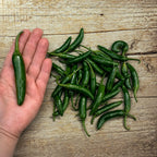 Chile Serrano Tampiqueño