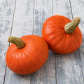 Calabaza Sunshine Kabocha F1
