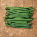 Ejote Verde Wyatt