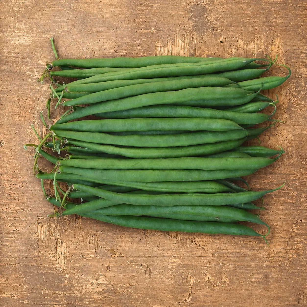 Ejote Verde Wyatt