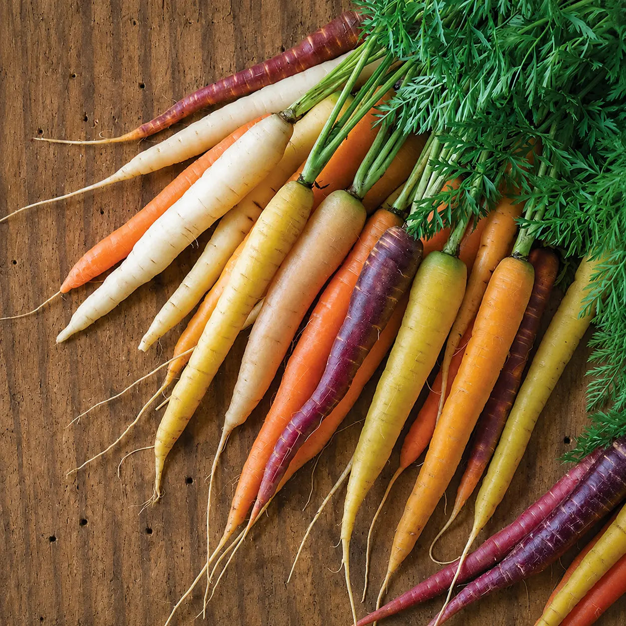 Zanahoria de colores
